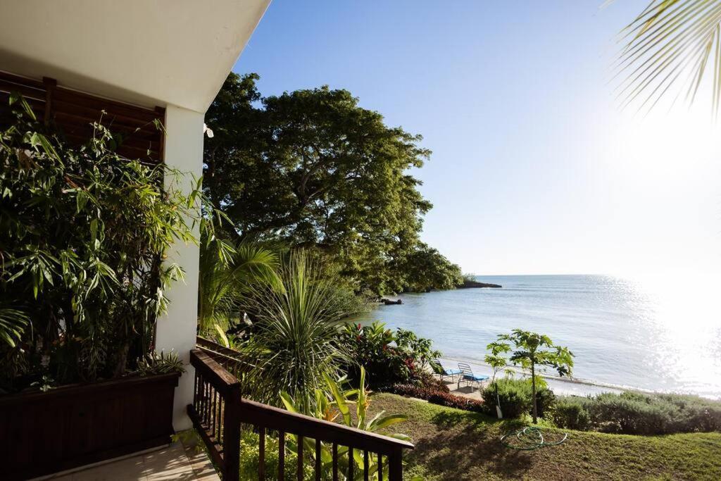 Ivy'S Cove Beach Side Condo - Luxury Villa Whitehouse Ngoại thất bức ảnh