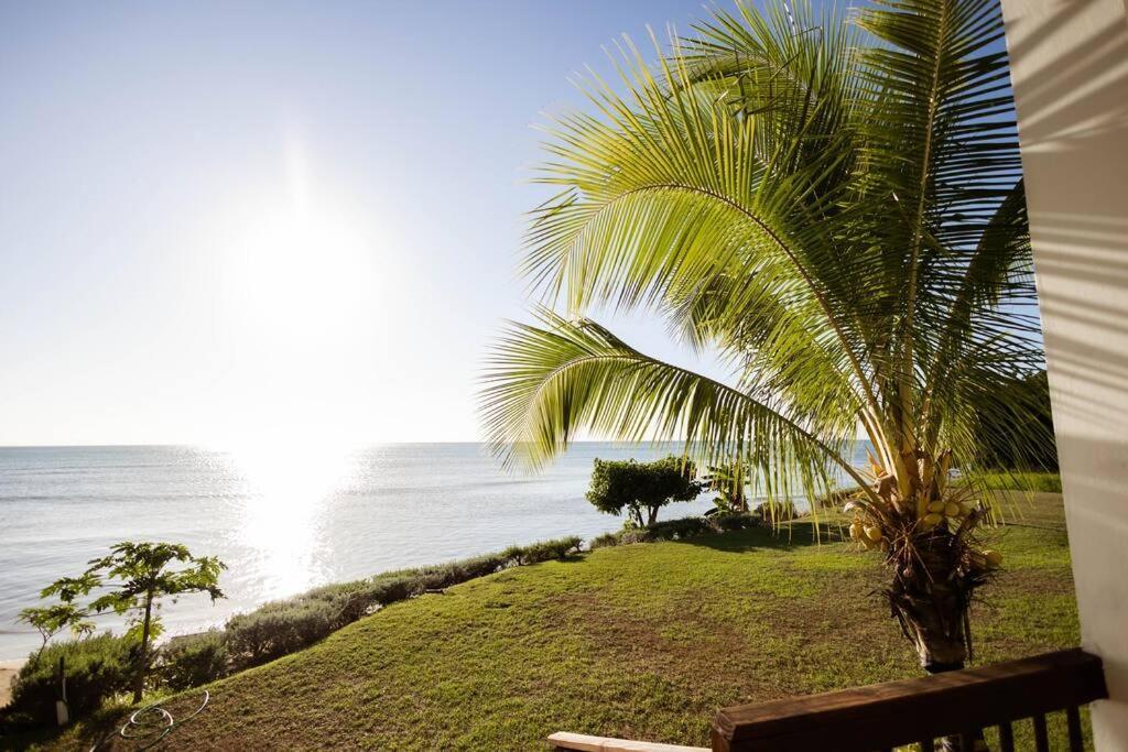 Ivy'S Cove Beach Side Condo - Luxury Villa Whitehouse Ngoại thất bức ảnh
