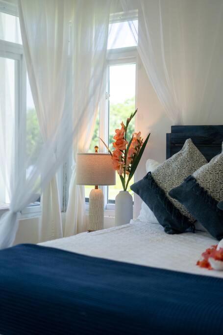 Ivy'S Cove Beach Side Condo - Luxury Villa Whitehouse Ngoại thất bức ảnh